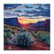 Stupell Industries Desert Sunset on Blooming Bush Canvas, design by Kate Jarvik Birch